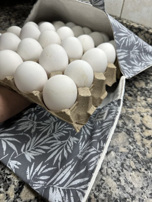 Portamaple/tarta - Image 2